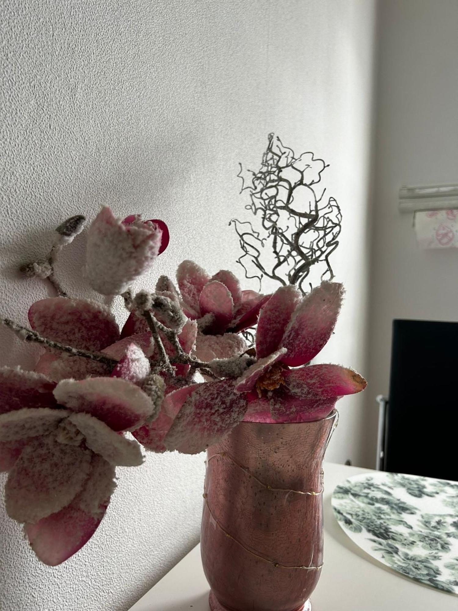 Gemuetliche Ferienwohnung-Appartement Bad Oeynhausen Exteriér fotografie